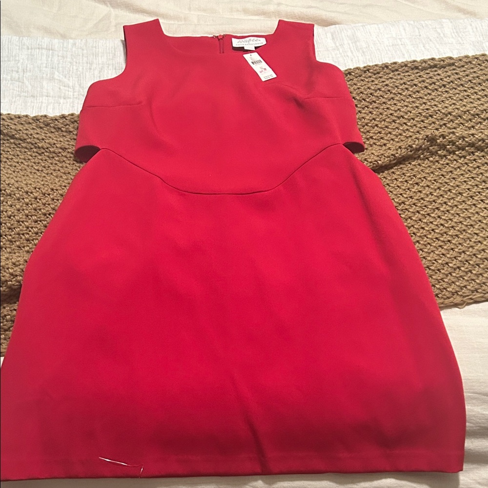 Anthropologie Red Mini Dress